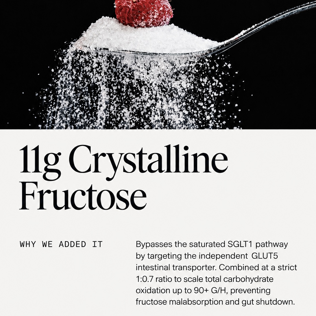 11g crystalline fructose
